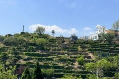 伯恩利英超首胜：莫里森、威廉姆斯助力逆转沃特福德